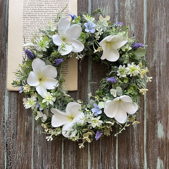 プルメリア 爽やかグリーンリース リース ＊COCO HANA＊ 通販 14438236  