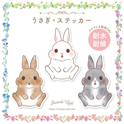 海外製ラベラーシール巻き売り うさぎと星セット ステッカー 楽天市場】【4枚セット】 ステッカーパック 紙兎ロペ アソート
