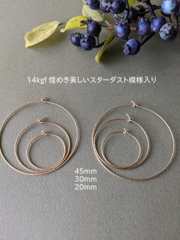 14kgf -Stardust- 圈形閃亮色調，簡單輕便的圈形耳環，有多種尺寸可供選擇 第1張的照片