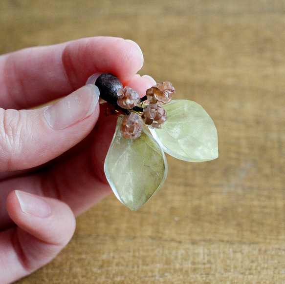 【1点物】ユーカリ ポポラスベリーの植物標本イヤリング 3枚目の画像