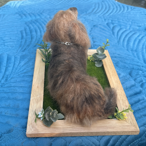 ♡必ず最後までプロフのご確認を♡♡　うちの子オーダー♡羊毛フェルト♪ うちの子フェルト🐾moco_felt (@moco_felt.needlefelting