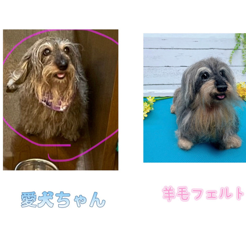 オーダー 犬 ダックスフンド♡世界でたったひとつ♡羊毛フェルト