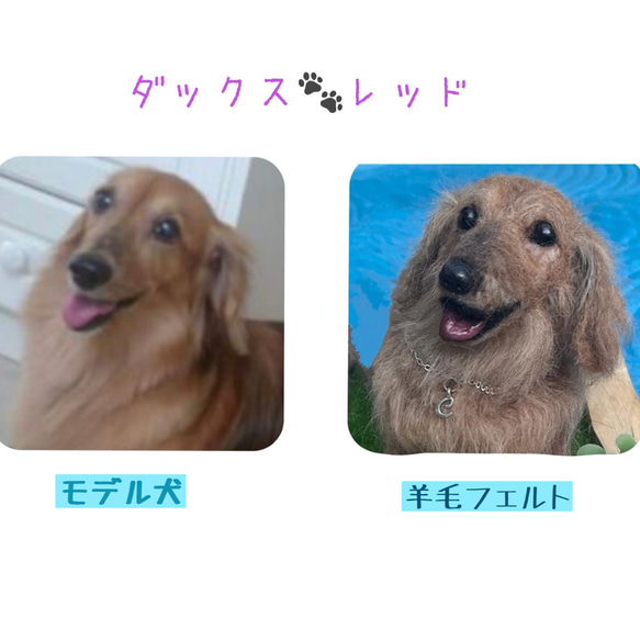 オーダー 犬♡うちのコそっくり♡ずっと一緒だよ♡世界でたった
