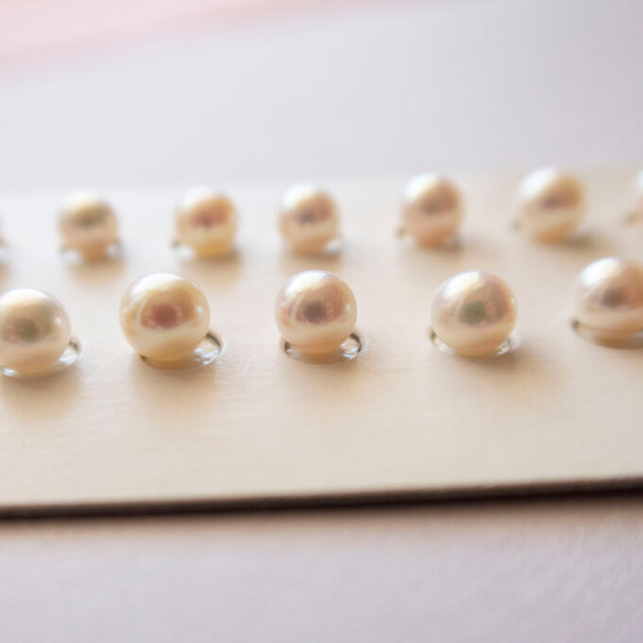 [2206P579] アコヤ真珠(5㎜片穴 ピンク) ペア２粒 ルース 10枚目の画像
