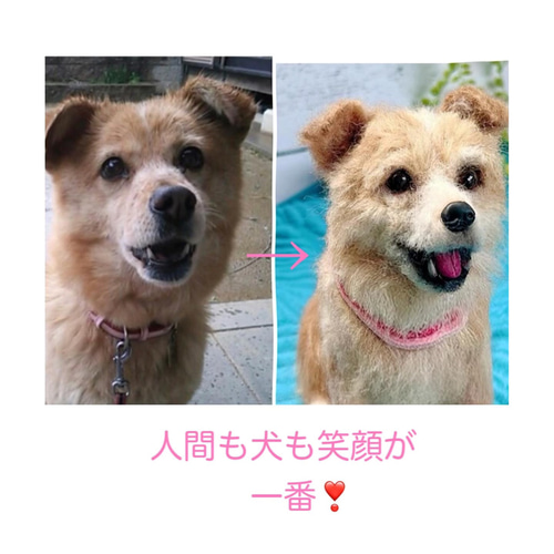 ぴん！　羊毛フェルト犬 羊毛フェルトミックス犬