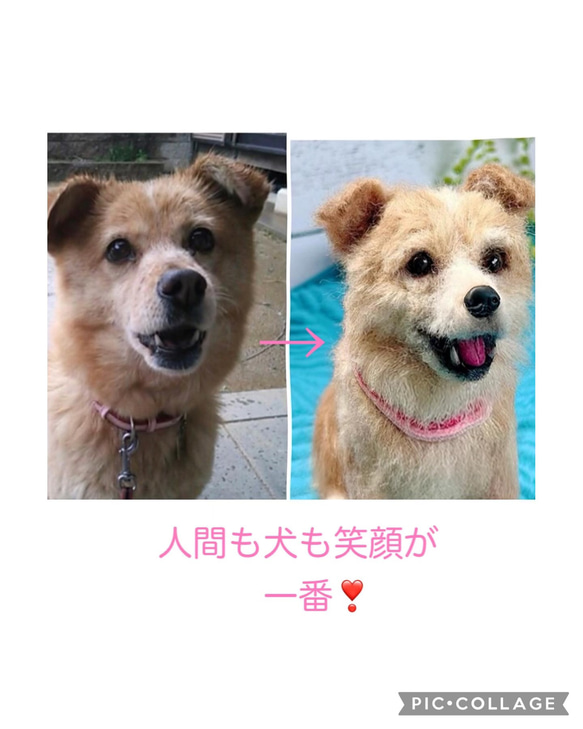 オーダー　羊毛フェルト　♡再現　mix犬♡ずっとそばに♡世界でたった一つ 1枚目の画像