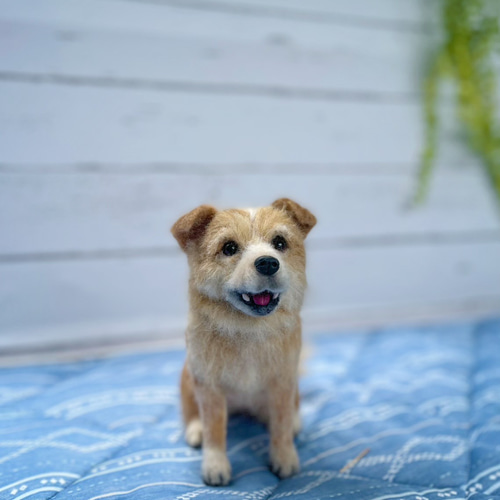 handmade 羊毛フェルト ☆ ミックス犬犬オーダー