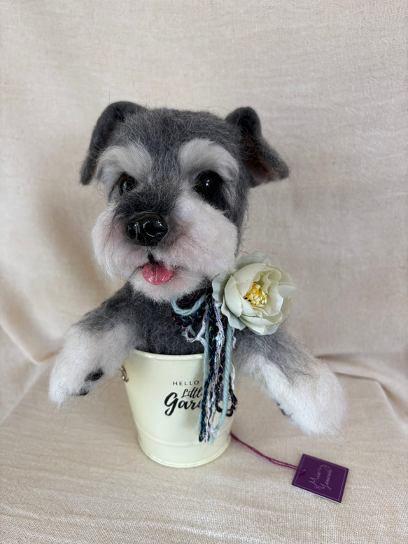 羊毛フェルト　ミニチュアシュナウザー　犬 通販 ♡ron♡ 羊毛フェルト 犬 ミニチュアシュナウザー 羊毛フェルト 羊毛フェルト