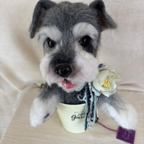 ミニチュアシュナウザー 犬 愛犬 羊毛フェルト 羊毛 プレゼント 羊毛