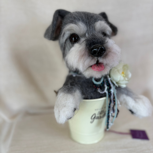 ミニチュアシュナウザー 犬 愛犬 羊毛フェルト 羊毛 プレゼント 羊毛