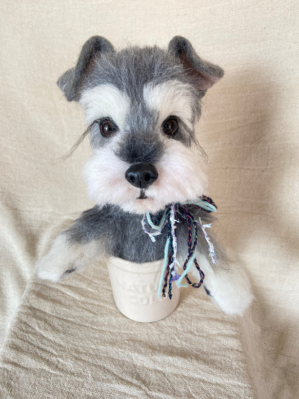 羊毛フェルト ミニチュアシュナウザー 黒シュナちゃん、ブラック