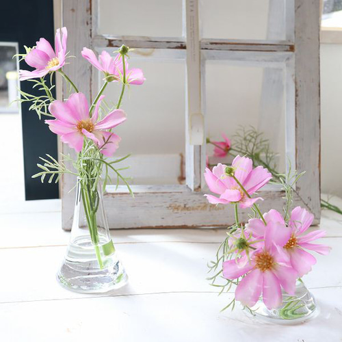 秋桜(コスモス) fuji マジカルウォーター インテリア ギフト 魔法の水