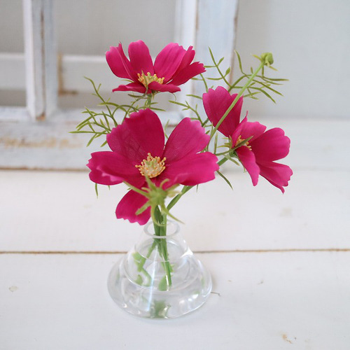 秋桜(コスモス) fuji マジカルウォーター インテリア ギフト 魔法の水