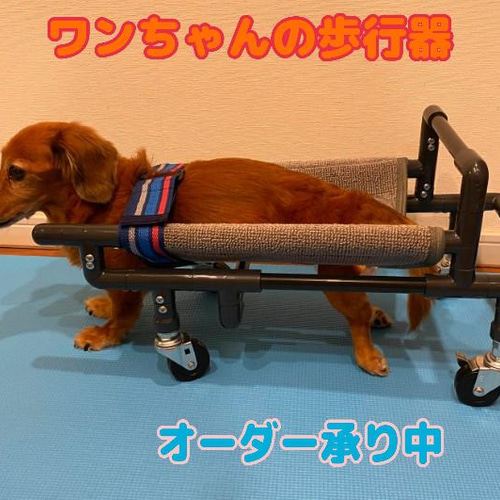 ロングコートチワワ4輪 リハビリ 食事補助 犬用車椅子 歩行補助 ロングコートチワワ4輪 リハビリ 食事補助 犬用車椅子 歩行補助