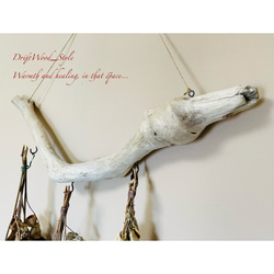 流木インテリア コブが印象的なU字描くハンガーフック 流木ハンガー ハンギング ウォールデコ 壁掛け 北欧 No.116 4枚目の画像