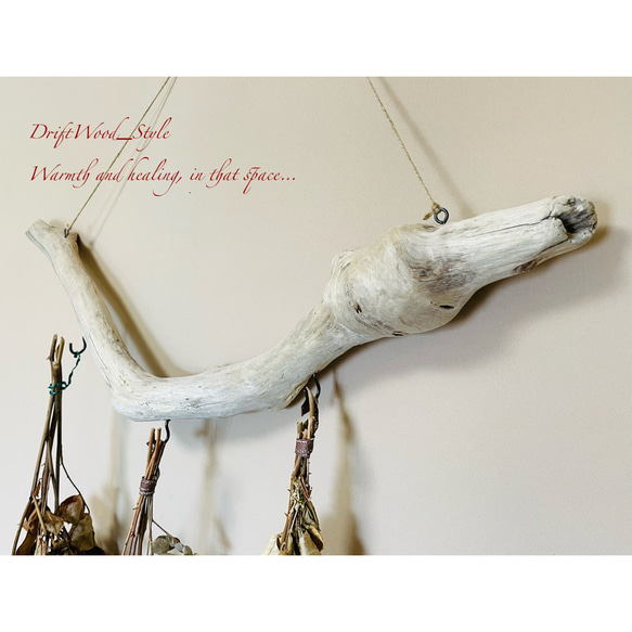 流木インテリア コブが印象的なU字描くハンガーフック 流木ハンガー ハンギング ウォールデコ 壁掛け 北欧 No.116 4枚目の画像