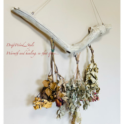 流木インテリア コブが印象的なU字描くハンガーフック 流木ハンガー ハンギング ウォールデコ 壁掛け 北欧 No.116 2枚目の画像