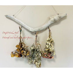 流木インテリア コブが印象的なU字描くハンガーフック 流木ハンガー ハンギング ウォールデコ 壁掛け 北欧 No.116 1枚目の画像