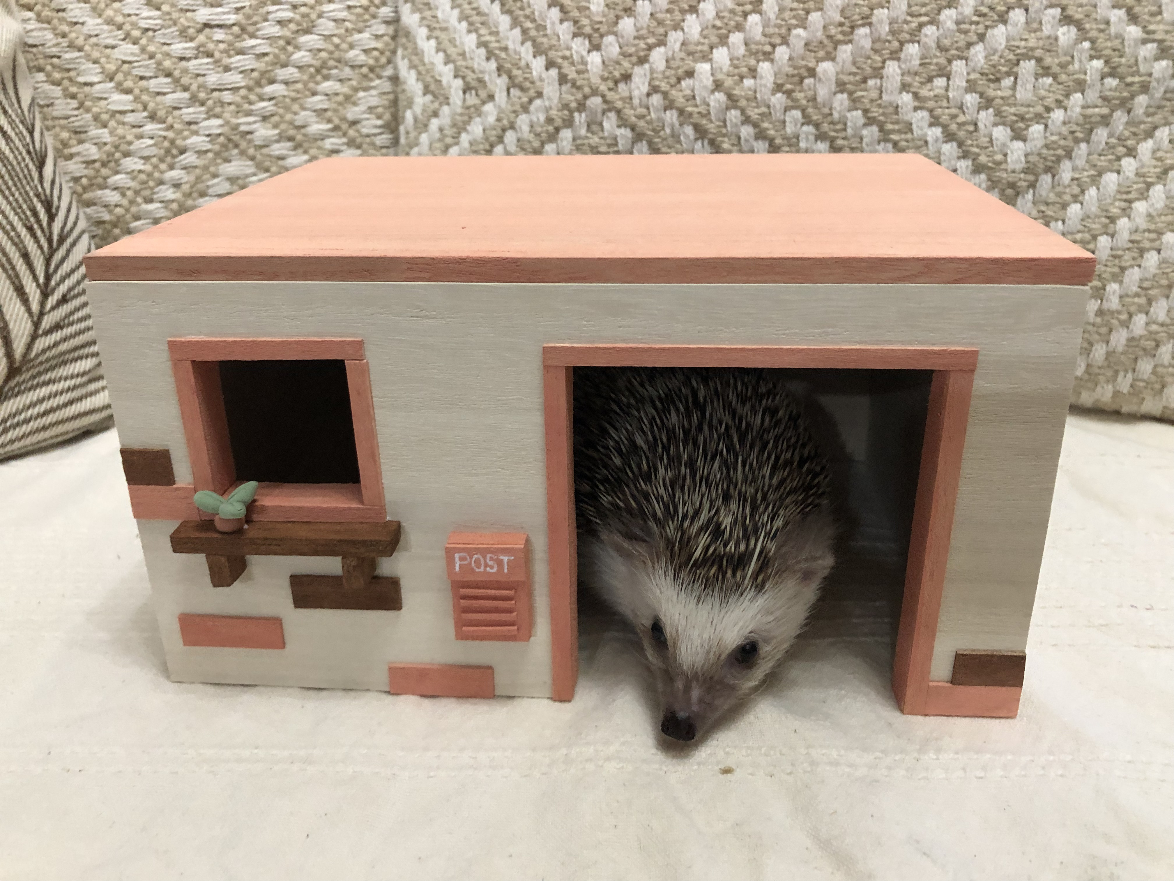ハリネズミハウス（ピンク）小動物 ハムスター モルモット