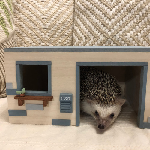 ハリネズミハウス（青）小動物 ハムスター モルモット デグー