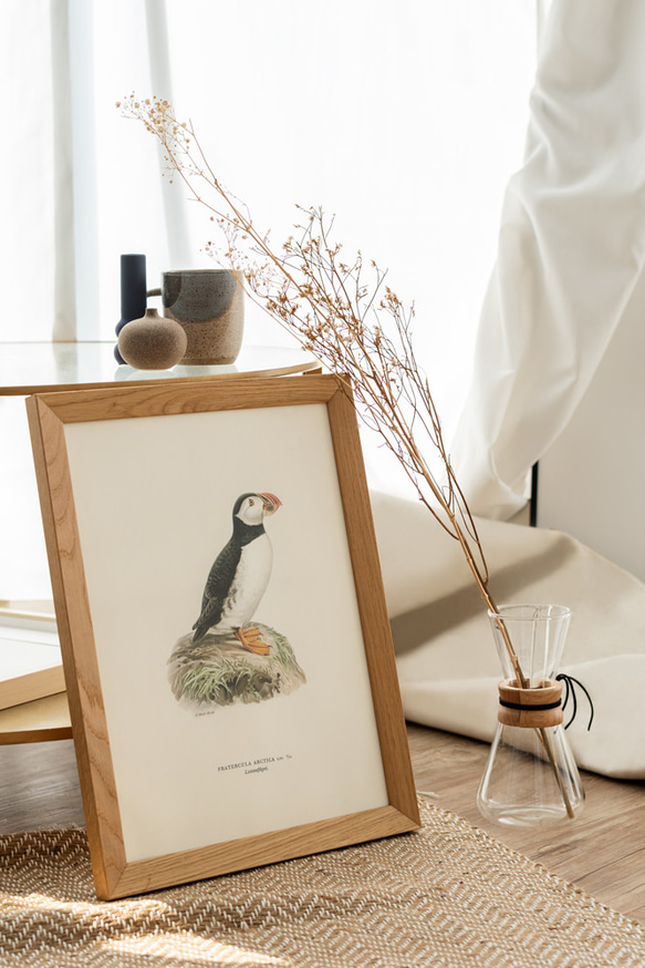 ヴィンテージポスター、ニシツノメドリ、北欧鳥類図鑑、シンプルな中にも自然を感じるナチュラルスタイル【W-0027】 4枚目の画像