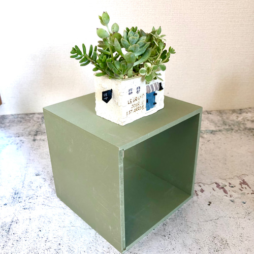 白いモルタル作りのカフェ多肉植物寄せ植え 多肉植物 Green＋Lab 通販