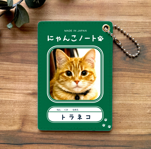  第1張的照片