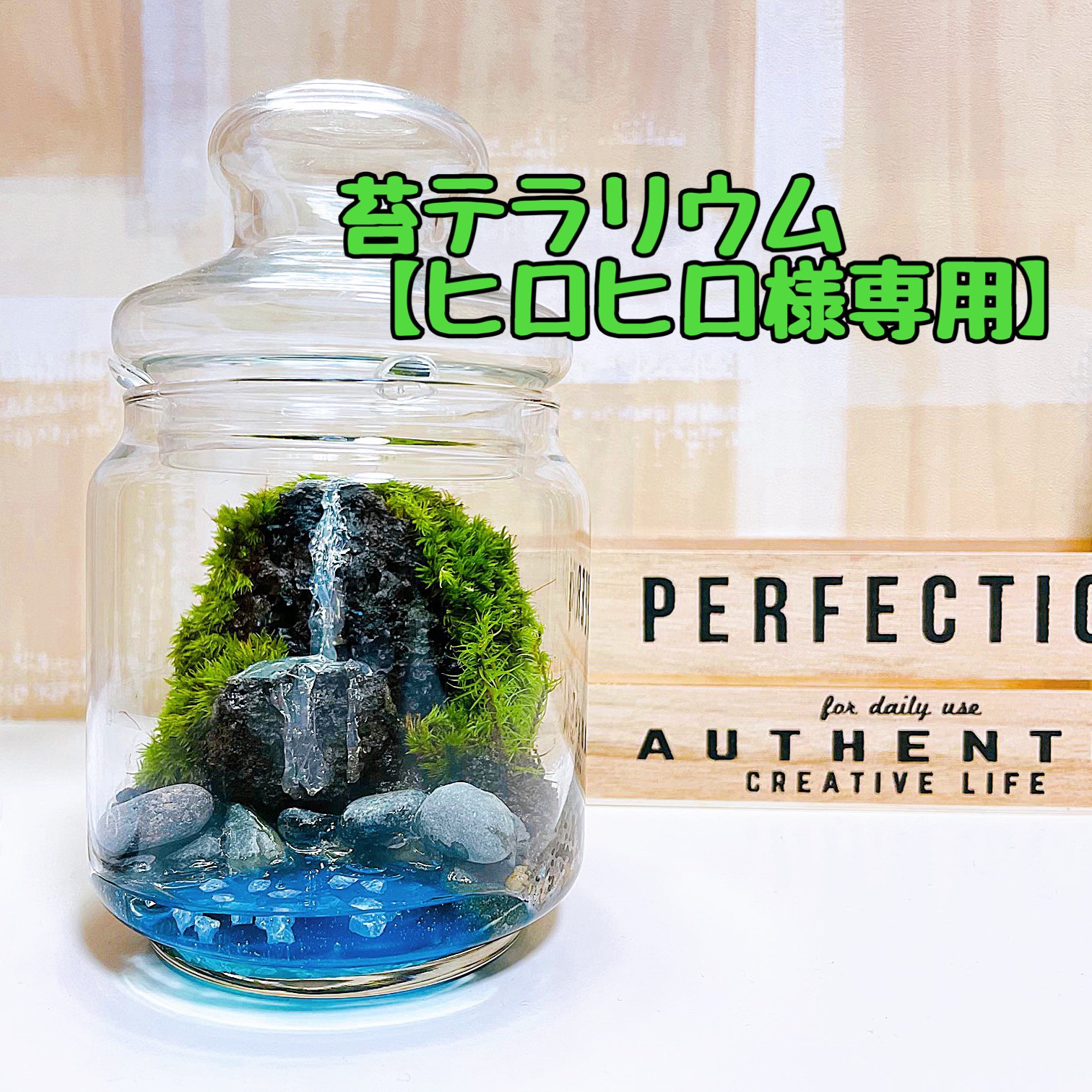 苔テラリウム】オーダーメイド☆特別な1品☆プレゼントにもオススメ