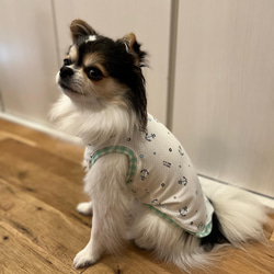 メッシュニット　ハンドメイド犬服　タンクトップ 3枚目の画像