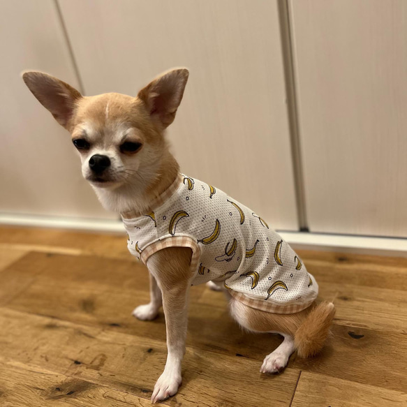 メッシュニット　ハンドメイド犬服　タンクトップ 4枚目の画像