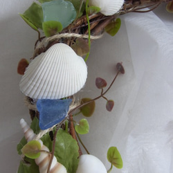 シーグラスと貝殻の夏リース１(濃いめ) 2枚目の画像