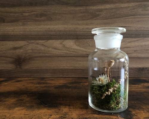 瓶の中の世界 その他インテリア雑貨 n e e m 通販 14443427｜Creema