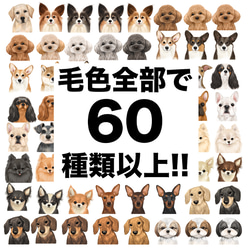 【 犬種選べる マグカップ 】　水彩画風イラスト 毛色60種類以上　うちの子　犬　ペット　プレゼント 15枚目の画像