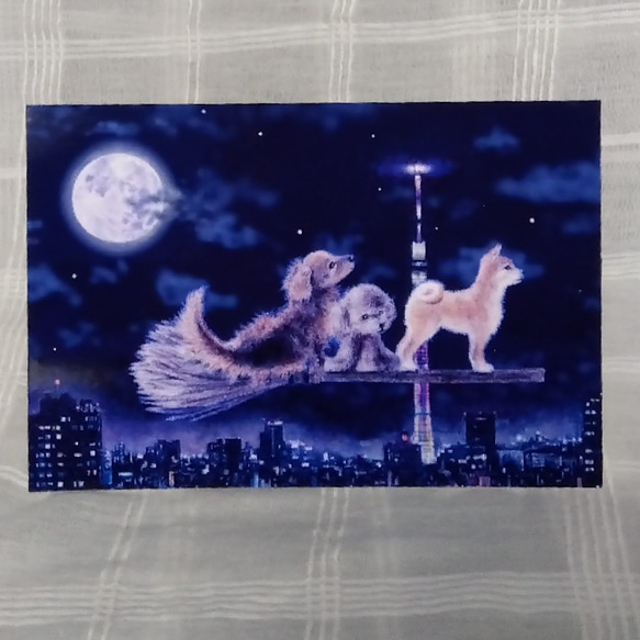 選べるポストカード３枚セット　NO.１４　スカイツリー・柴犬・トイプードル・ミニチュアダックスフンド 2枚目の画像