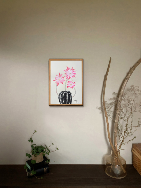 サボテンの花　ピンク　【原画/A3サイズ】　インテリアアート 6枚目の画像