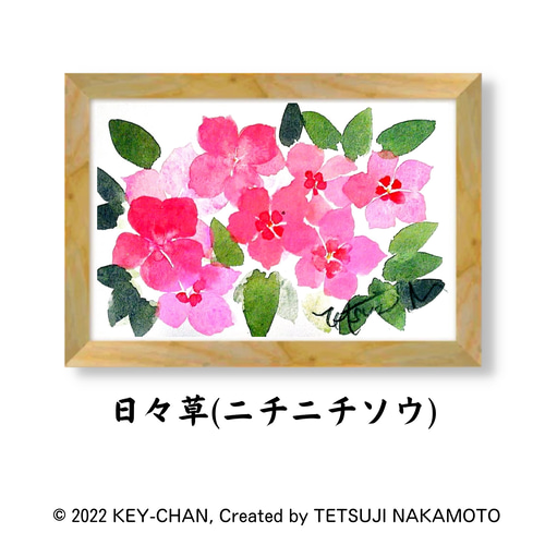 オーダーメイド水彩画「日々草」0812 絵画 キーちゃん 通販