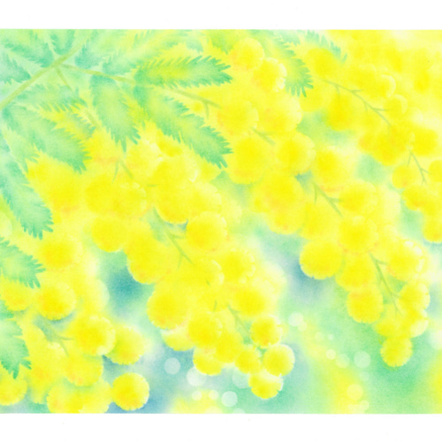 パステル画『ミモザ』お部屋を彩るパステルアート ポスターです