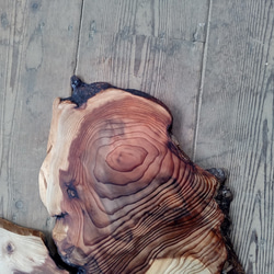【木製看板製作】 一枚板 杉 44cm×69cm 6枚目の画像