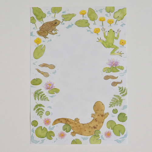 レターセット 両生類（カエル・オオサンショウウオ） レターセット