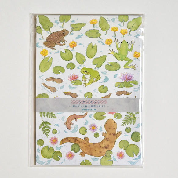 レターセット 両生類（カエル・オオサンショウウオ） レターセット