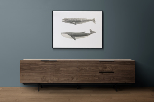 ヴィンテージポスター、クジラ、お部屋にクジラがやって来た、北欧インテリア、古民家スタイル【C-0114】 4枚目の画像