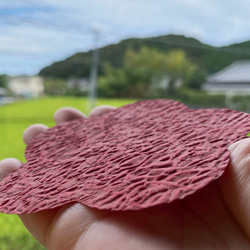 手作りキット　うめこむすび【土佐和紙と水引飾りのお飾り】 9枚目の画像