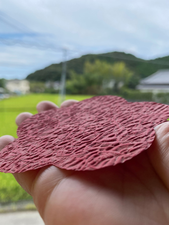 手作りキット　うめこむすび【土佐和紙と水引飾りのお飾り】 9枚目の画像