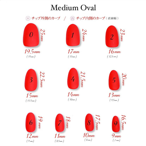 No.00 サイズ計測用クリアチップ/クリアチップ/ネイルチップ ネイル