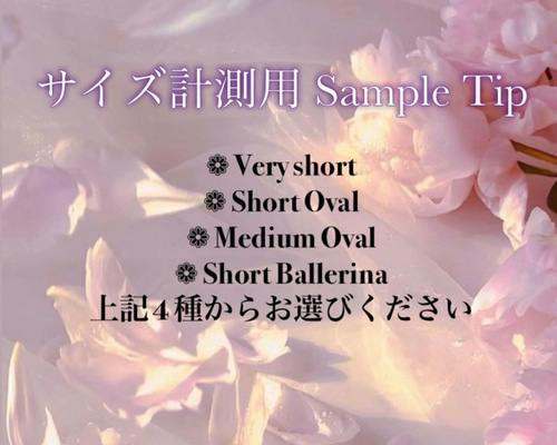 No.00 サイズ計測用クリアチップ/クリアチップ/ネイルチップ ネイル