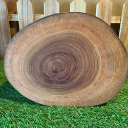 薪割り台 バトニング台 作業台 広葉樹 水中乾燥(小) (訳あり) 木材・板