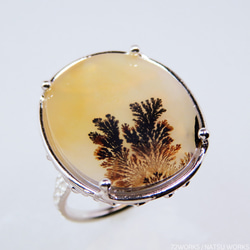 デンドリティック アゲートリング / Dendritic Agate Ring 6枚目の画像