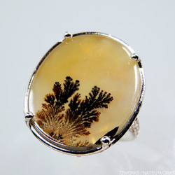 デンドリティック アゲートリング / Dendritic Agate Ring 2枚目の画像