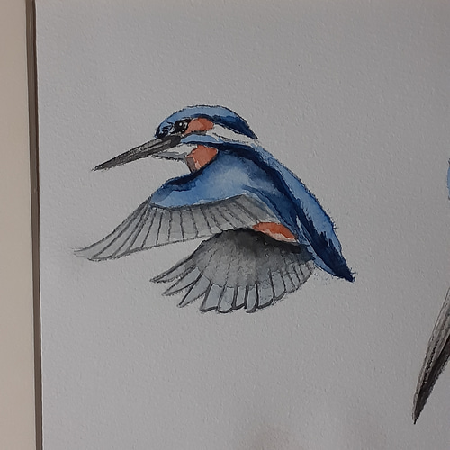 カワセミ　レジンヘアゴム　睡蓮　水彩　野鳥 595e832bc7ad27ff5b75c3cb11e727