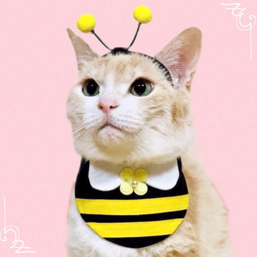 ぐでねこちゃんチャームチューリップとミツバチ